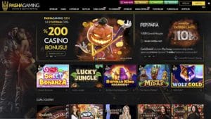 Pasha Gaming Casino Lisanslari